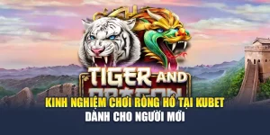 Kinh Nghiệm Chơi Rồng Hổ Tại Kubet Dành Cho Newbie 