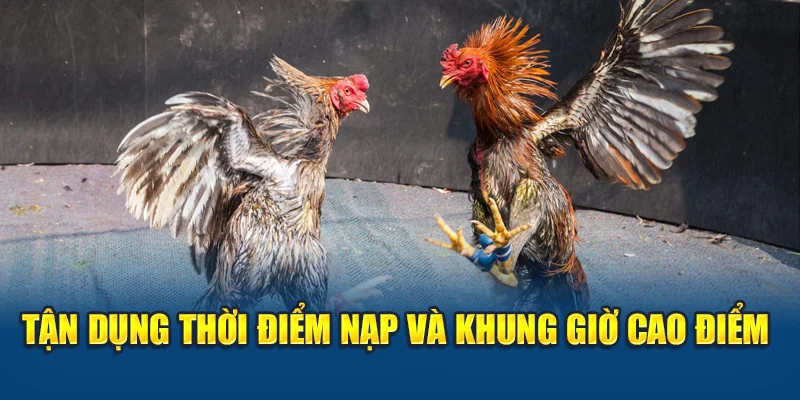 Khuyến Mãi Đá Gà Kubet – Ưu Đãi Đậm Tay, Nạp Ít Nhận Nhiều 2 Tận dụng thời điểm nạp và khung giờ cao điểm